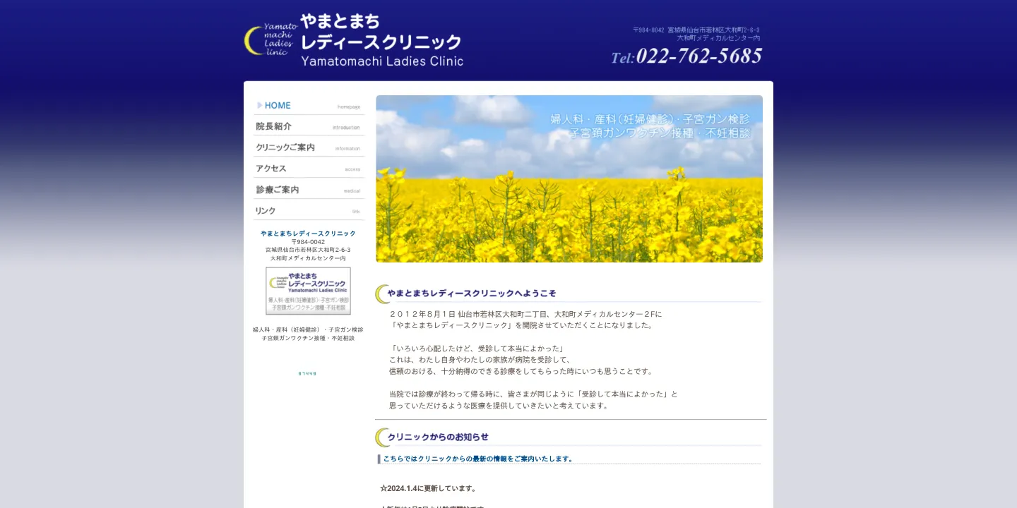 医療法人やまとまちレディースクリニックの画像